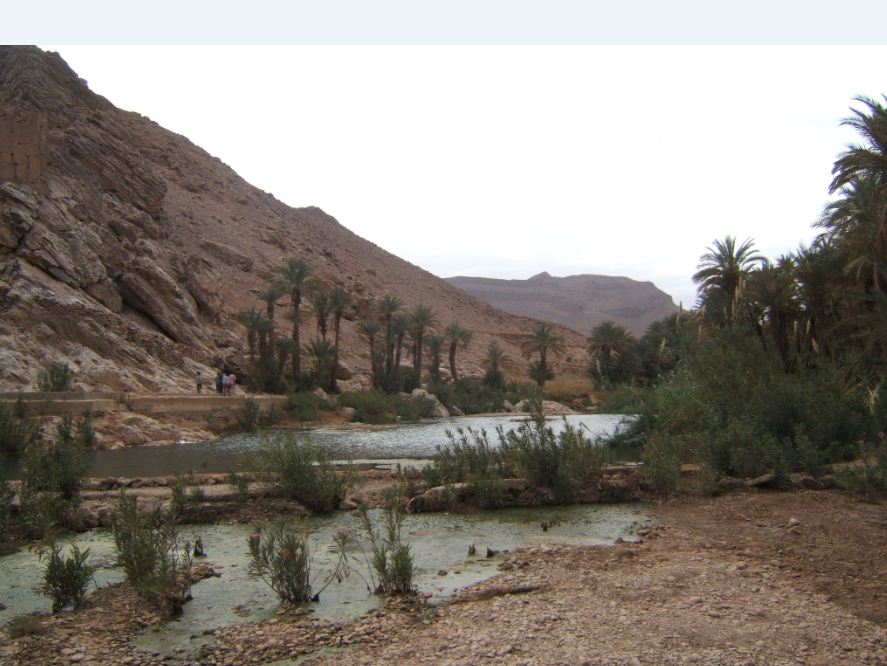 Oasis d'Akka