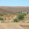 site11