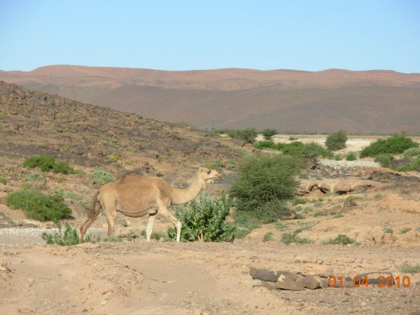 site11
