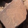 site15