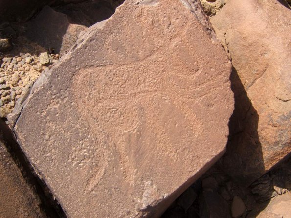 site15