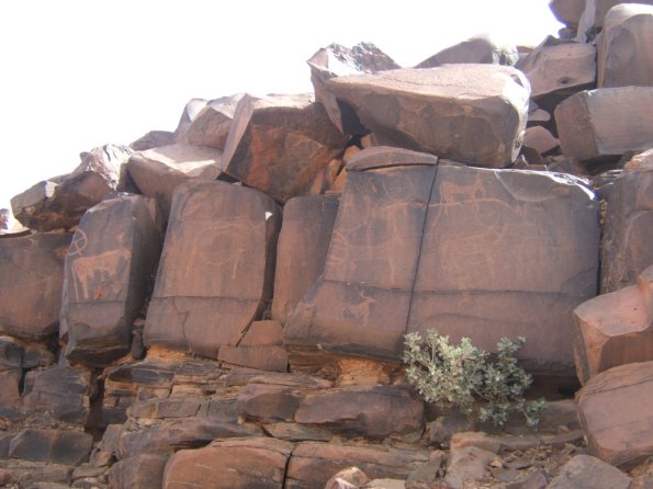 site19