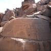 site21