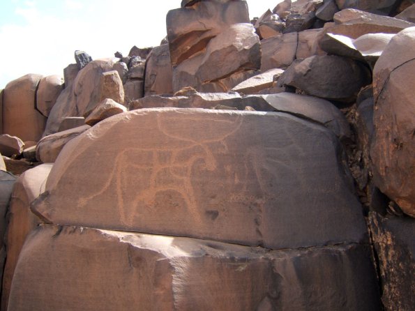 site21