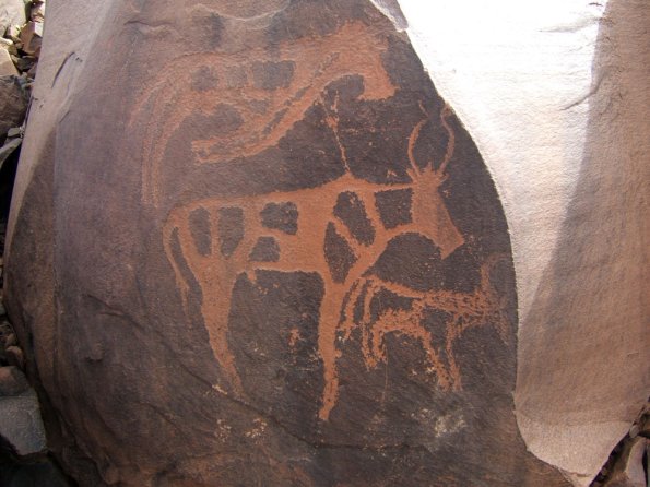 site22