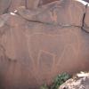 site23