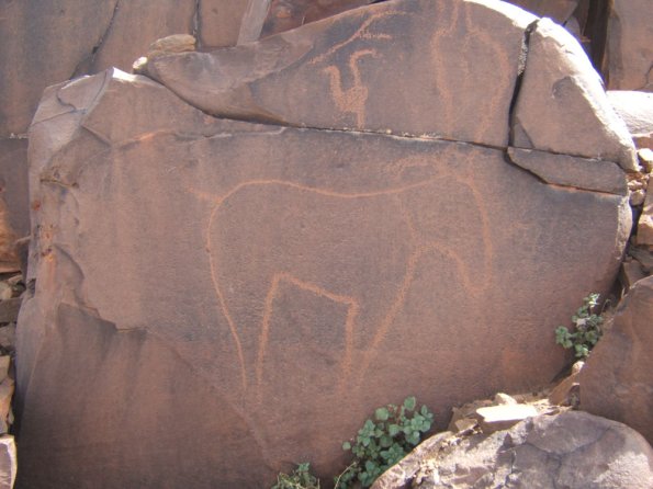 site23
