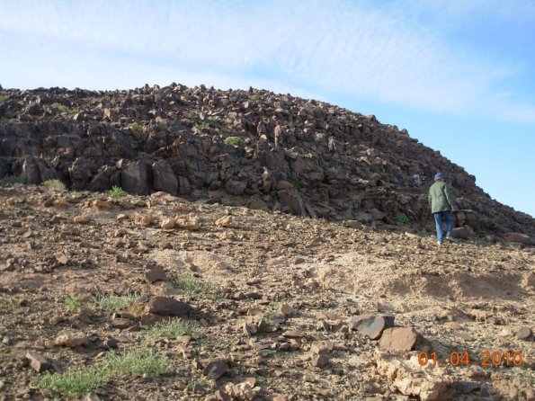 site25