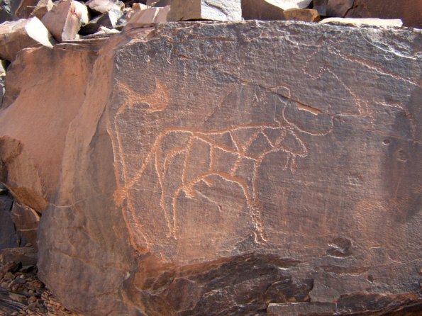 site28