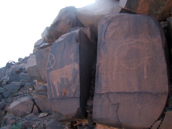 site29