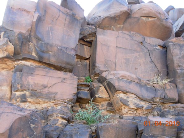 site31