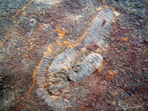site3