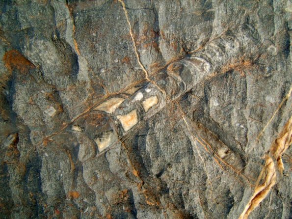 site4