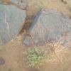 sitefossile_03