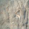 sitefossile_05