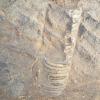 sitefossile_07