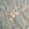 sitefossile_08