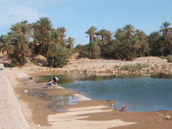 oasis2