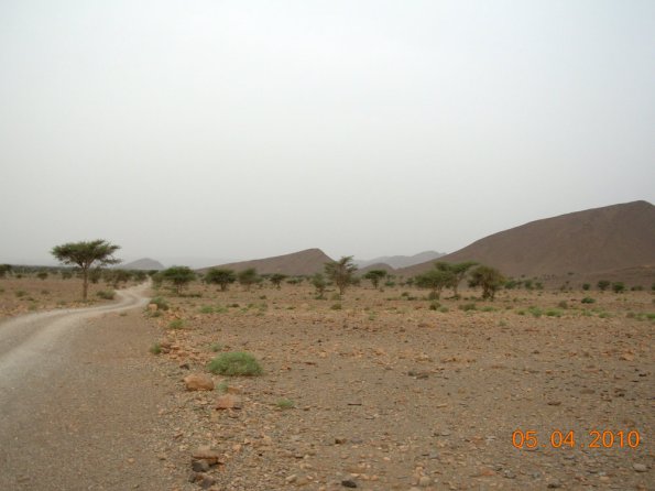 oasis4