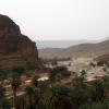 oasis5