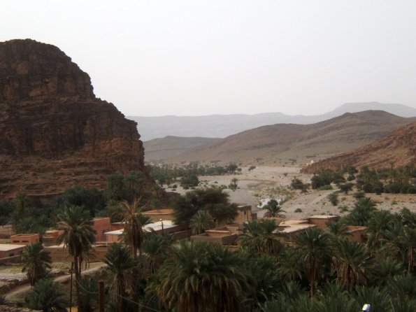 oasis5