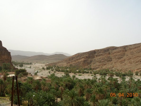 oasis6