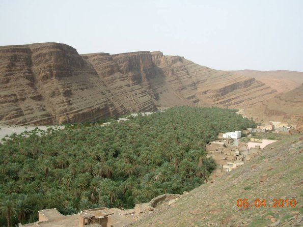 oasis8