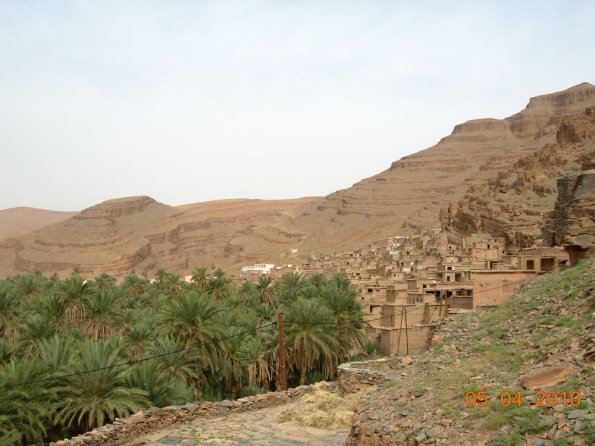 oasis9